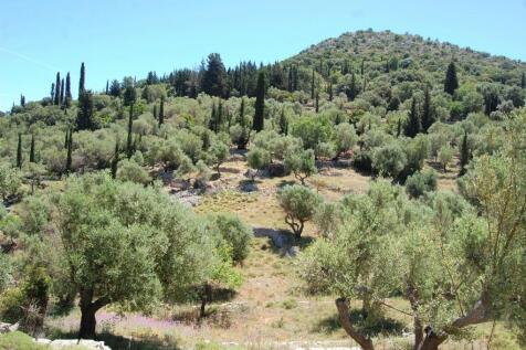 Landscape &amp; Terrain