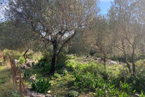 Terrain &amp;landscape