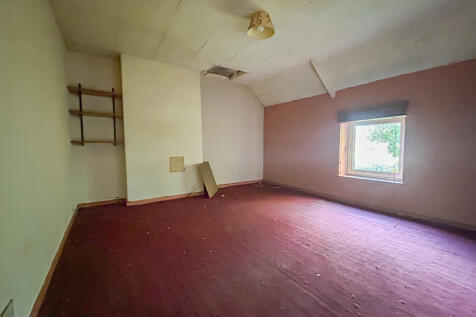 IMG 6890 T202510100926.jpg