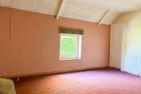 IMG 6892 T202510100925.jpg