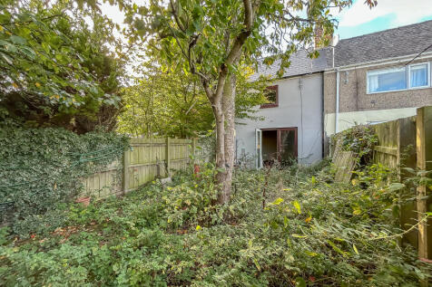 IMG 6904 T202510100925.jpg