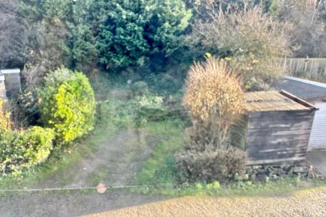 PHOTO-2025-12-18-13-31-53 T202512201043.jpg