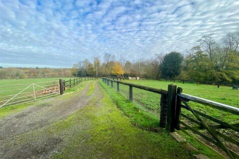 Drive Top &amp; Paddock.jpg