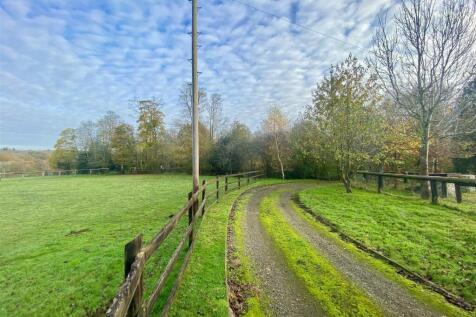 Paddock &amp; Drive.jpg