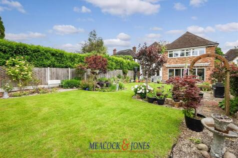 IMG_5287_11 copy.jpg