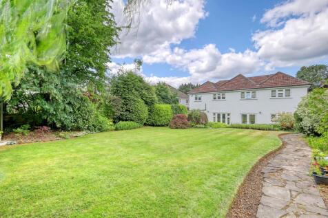 img_3237_24 copy.jpg