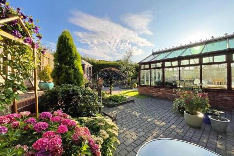 garden 4.jpg