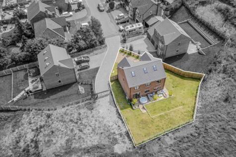 Denise White Agents Comments