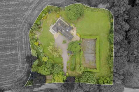 Two Trees Aerial View