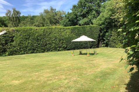 garden 1.jpg