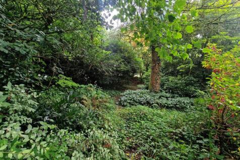 Bottom of garden.jpg