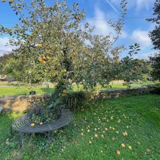 Property Image 61