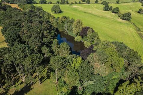 20240814-DJI_0509.jpg