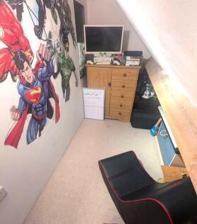 Playroom/Narnia
