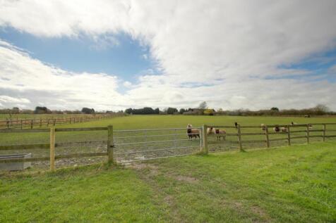 Paddock Two