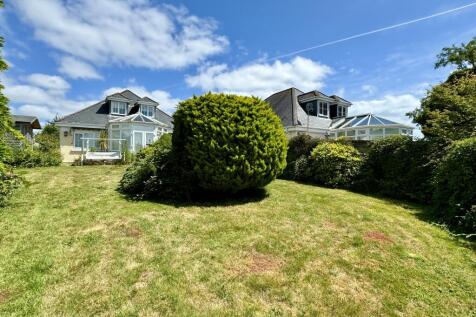 Back Garden
