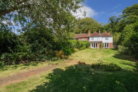 Rear Garden (4)