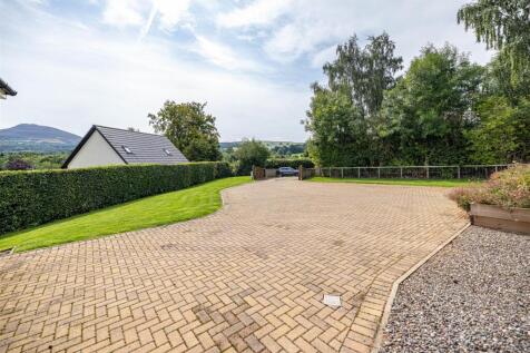 Skirmish Hill Darnick 84.JPG