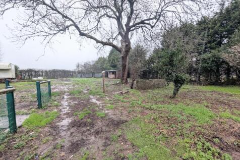 1000035051 T202512181414.jpg