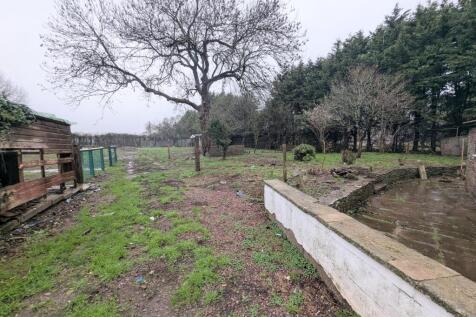 1000035052 T202512181414.jpg