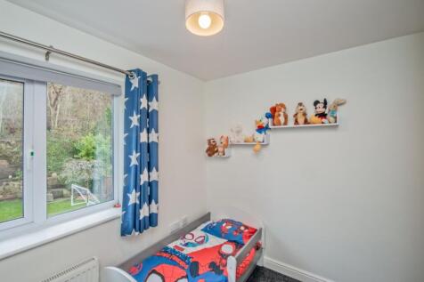 Picture 23