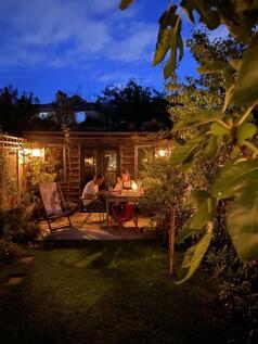 garden shot night.jpg