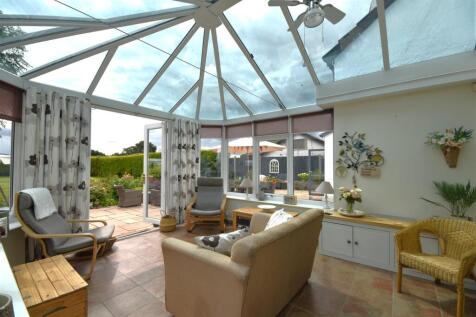 DSC_0157 - Copy (2).JPG