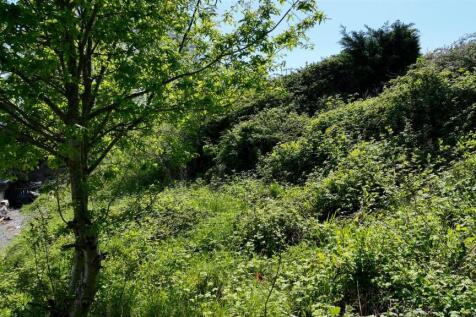 Sequence 01.00_00_21_53.Still002.jpg