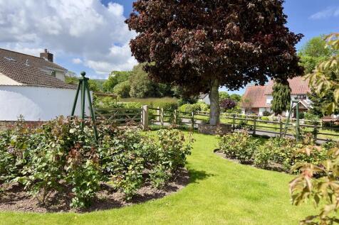 Front Rose Garden