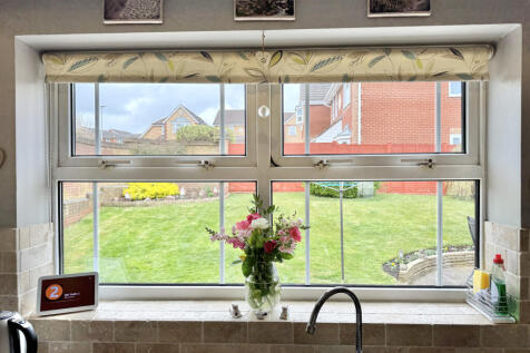 Kitchen Views