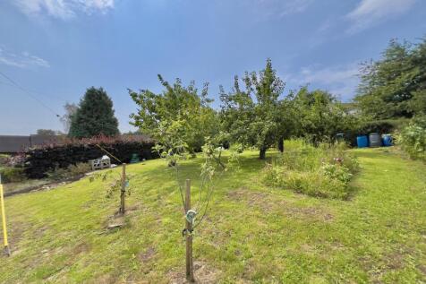 Orchard