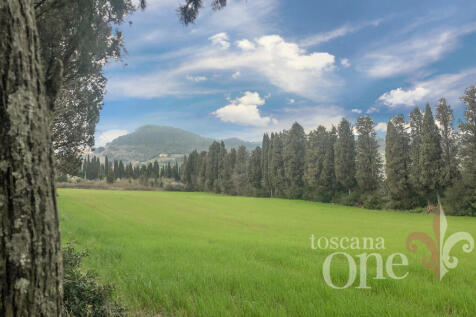 Poggio Piano Cell-10