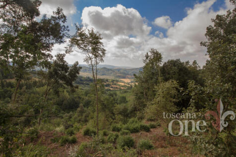 Casale Rose di Maggi