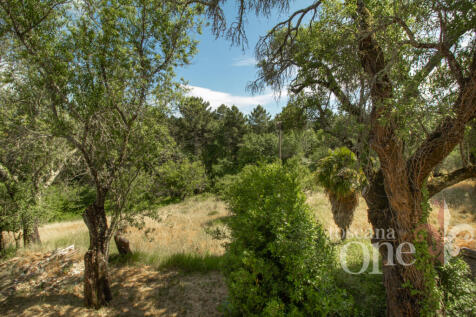 Casale Garetto30.jpg