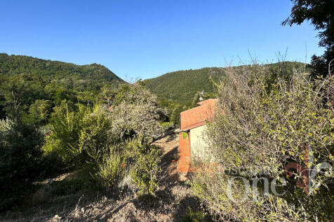 0166CASALE OLIVETO.j