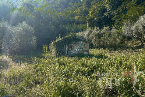 0222CASALE OLIVETO.j