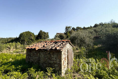 0224CASALE OLIVETO.j