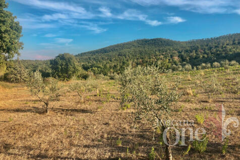 Podere San Marco-21.