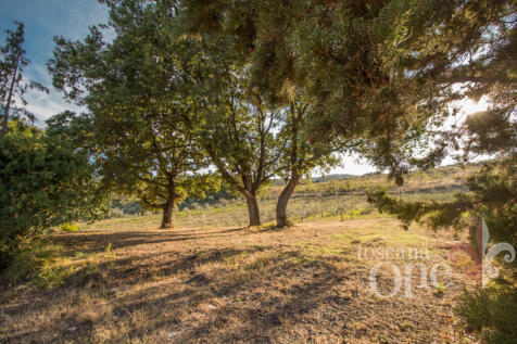 Podere San Marco-4.j