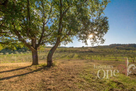 Podere San Marco-6.j