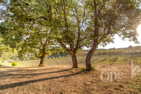 Podere San Marco-5.j