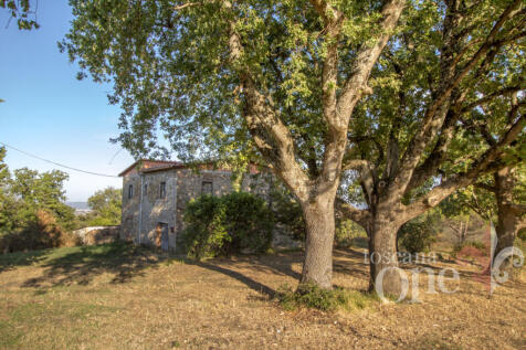 Podere San Marco-20.