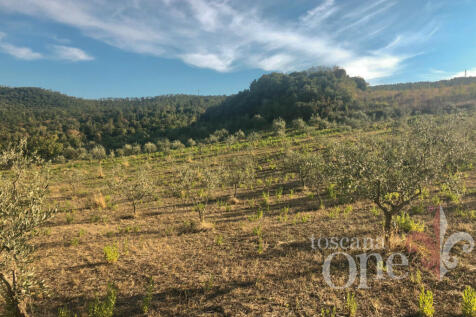 Podere San Marco-22.