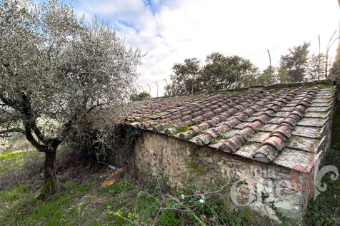 villa san michele -8