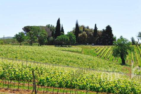 casale tondello -1.j