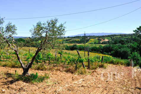 casale tondello -4.j