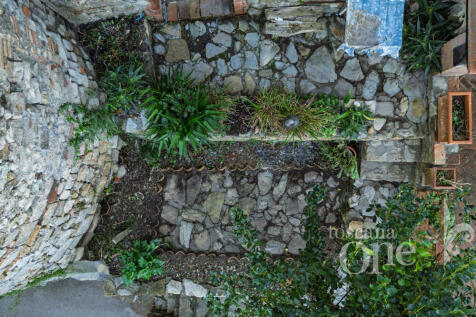 palazzotto luciana -