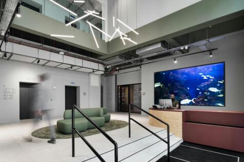 Hyphen photo by Tom Bird4.jpg