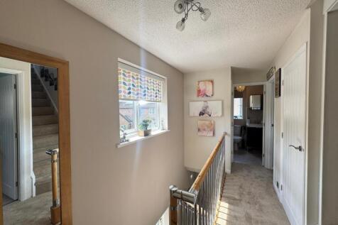 WhatsApp Image 2025-05-01 at 15.33.50_13b96852.jpg