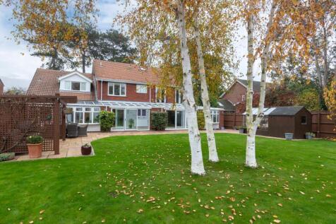 Rear of Property 